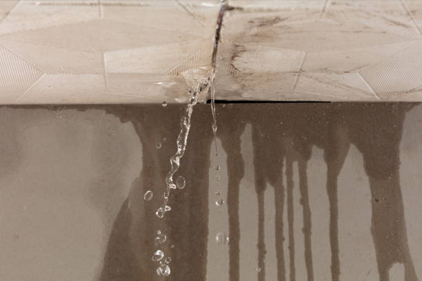Professional Structural Drying technician working in Trimble, MO